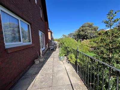 Picture 21